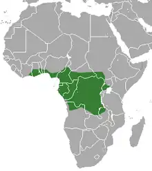 The Congo