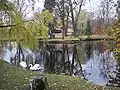 Botanical garden pond