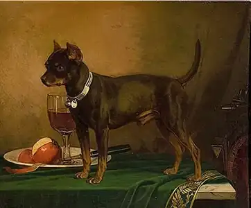 Little Terrier, 1875