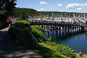 Marina in Friday Harbor