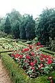 Rose Garden