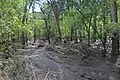 Flood damage on El Rito de los Frijoles, Bandelier National Monument