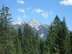 The Alps from Wildsee lake