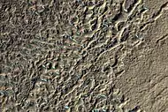 Surface of debris apron in Terra Cimmeria, as seen by HiRISE, under the HiWish program.  Colored parts may be frost deposits.