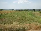 Rosario rural landscape