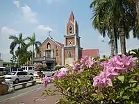 St. Ildephonsus of Toledo Church (Poblacion)