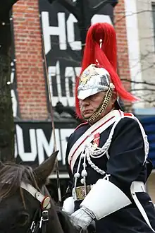 The Governor General's Horse Guards' full dress headgear is a metal helmet with a scarlet plume.