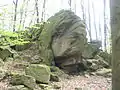 Giant tortoise gneiss rocks (Böllstein)