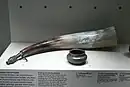 Drinking horn from Tuttlingen, Germany