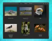 GNOME Photos