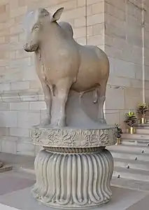 Rampurva bull, left side