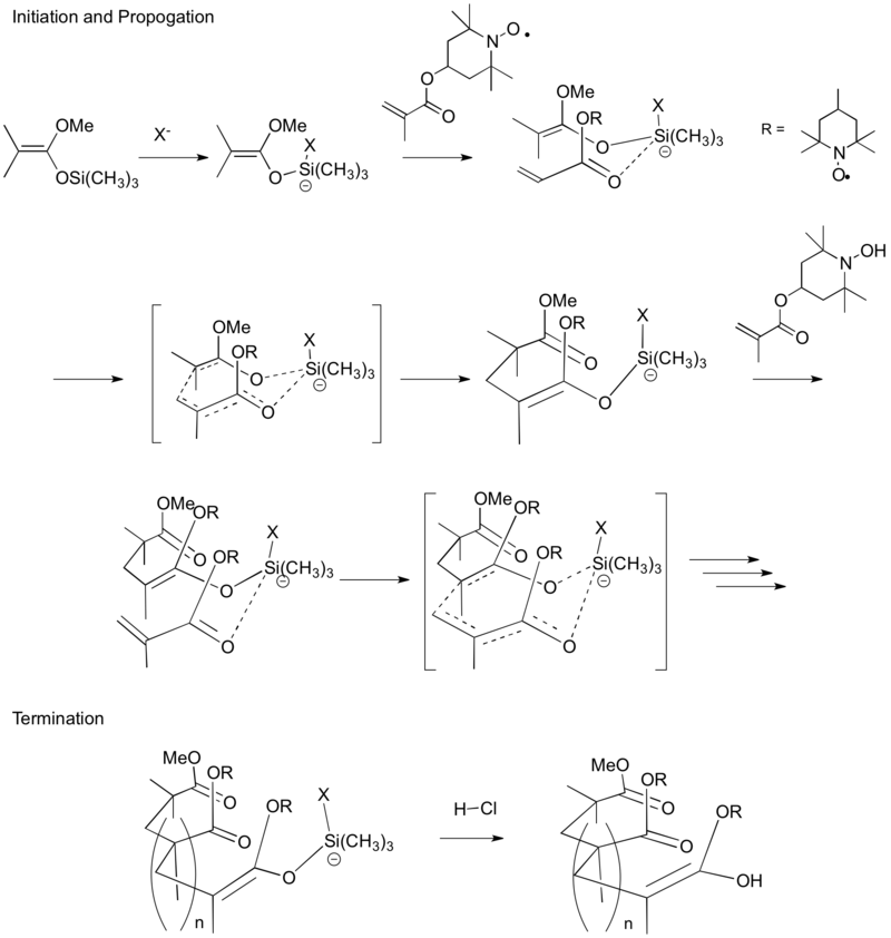 Mechanistic rationale for group transfer polymerization of PTMA