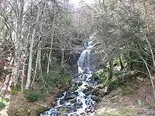 Image 6Cascade in the Pyrénées (from River ecosystem)