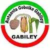 Official seal of Gabiley