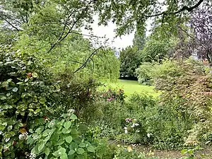 The communal garden in June 2021