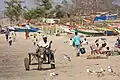 Image 3A donkey cart at a beach in The Gambia