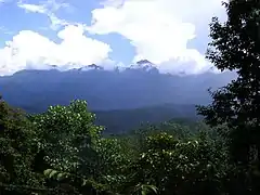 Gaoligong range, border of western Yunnan and Myanmar (Burma).