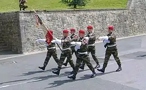 Color Guard of the 1st Parachute Regiment of Marine Infantry November 11, 2008, in Bayonne.