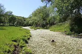 The garganta Torinas