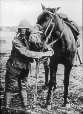 A man wearing a gas mask and helmet stands next to a tacked up horse wearing a gas mask.