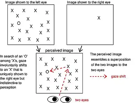 Gaze capture by an ocular singleton