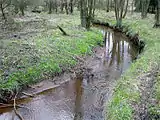 The Geeste near its source