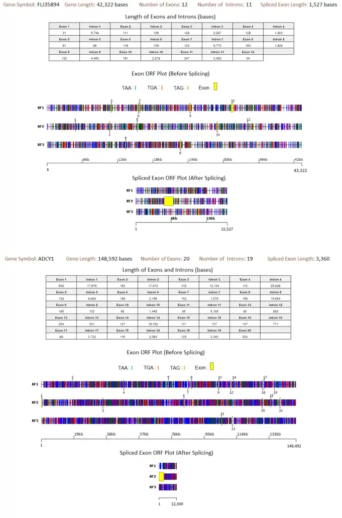 ExorfPlot