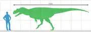 Size of Genyodectes compared to a human