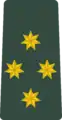 კაპიტანი (K’ap’it’ani) Georgian Army