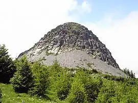 Mont Gerbier de Jonc