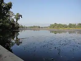 Ghodaghodi Tal, Kailali