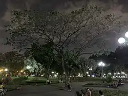 Gia Dinh park in Go Vap district