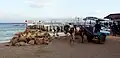 View of Trawangan Pier and a Cidomo, local transport