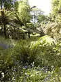 View of Glendurgan