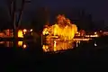 Central Pond at Night.