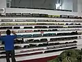 Collection of classic model trains & prototypical scale models