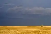 Open prairie outside Weyburn