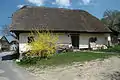 Thatched house in Goričice