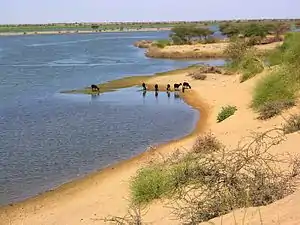 The Niger River at Gourma Rharous