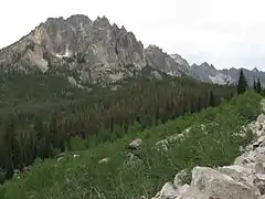 Grand Mogul and Redfish Lake Creek Valley