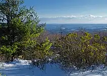 Grand View Trail, Ricketts Glen State Park