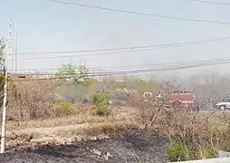 A grass fire being controlled by firefighters in Nuevo León, México, during the drought