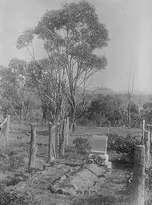 Grave of William Farrer shortly after his death in 1906