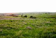 Image 15The Great Plains of Kansas (from Kansas)