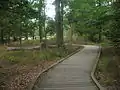 Boardwalk in the park, 2015