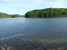 shallow lake, trees visible in the background