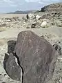 The ancient shoreline, bench (geology) or wave-cut platform, of Lake Lahontan may be seen in the background