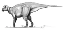 Gryposaurus notabilis