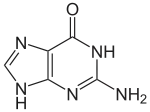 Guanine