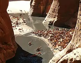 A guelta on the Ennedi Plateau, 500 km (300 mi) southeast of the Tibesti